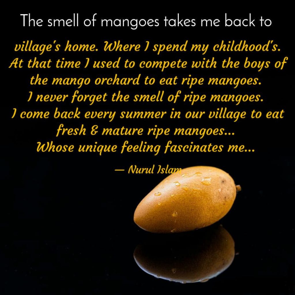 The smell of mangoes Notun Disha