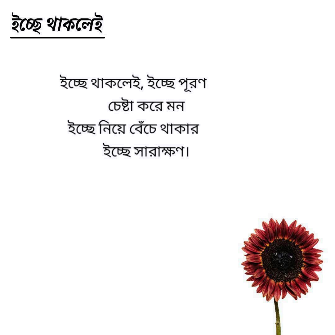 ইচ্ছে থাকলেই-নতুন দিশা
