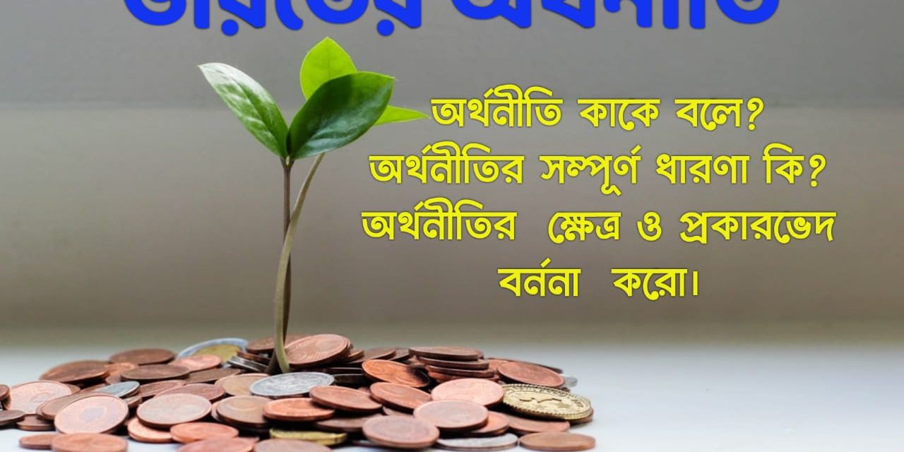 ভারতীয় অর্থনীতির পরিকাঠামো (Structure of Indian Economy)