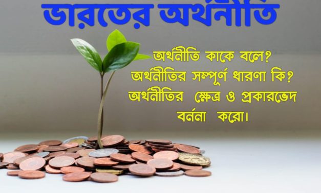 ভারতীয় অর্থনীতির পরিকাঠামো (Structure of Indian Economy)