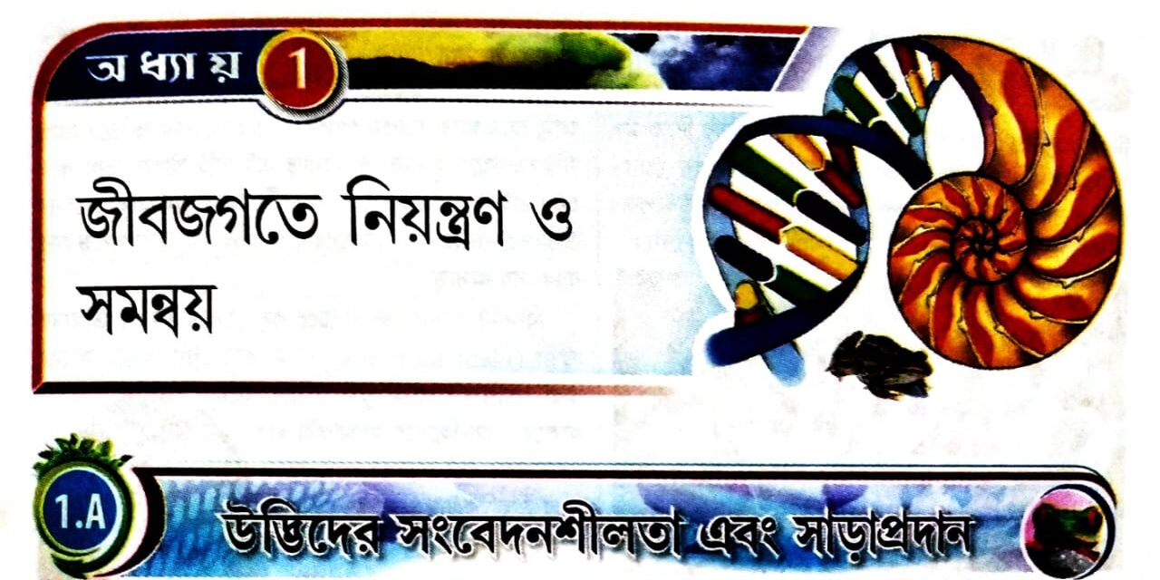 জীবজগতে নিয়ন্ত্রণ ও সমন্বয় (প্রশ্ন ও উত্তর পর্ব – ০১)